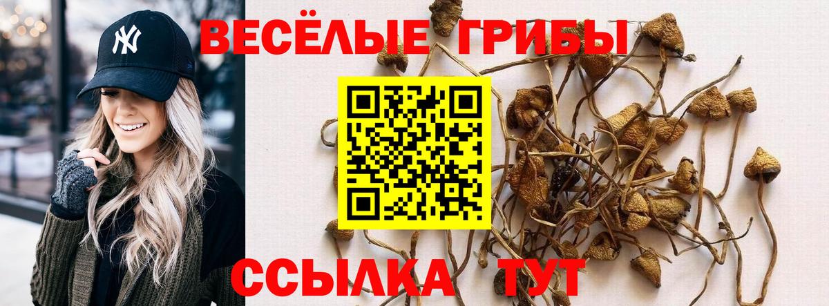 Галлюциногенные грибы Magic Shrooms  Вход с VPN  Ипатово 