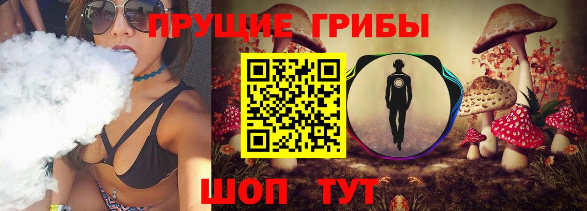 Псилоцибиновые грибы Cubensis Ипатово